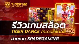 เกมสล็อต tiger dance