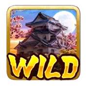 สัญลักษณ์ Wild