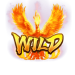 สัญลักษณ์ Wild