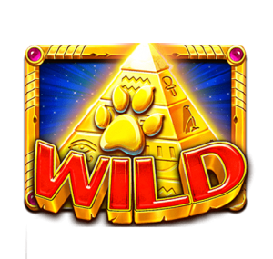 สัญลักษณ์ Wild