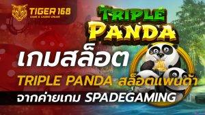 เกมสล็อต Triple Panda สล็อตแพนด้า จากค่ายเกม Spadegaming