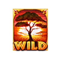 สัญลักษณ์ Wild