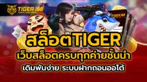 สล็อตtiger