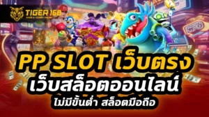 pp slot เว็บตรง